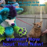 awww | Awww! He wants to be friends. Just give him some paw. Ummm! How bout' Hell Naw! | image tagged in furry | made w/ Imgflip meme maker