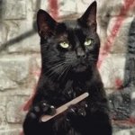 black cat GIF Template
