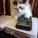 Math cat
