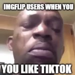 THe52384354brhdsjgfewr | IMGFLIP USERS WHEN YOU; YOU LIKE TIKTOK | image tagged in gifs,memes | made w/ Imgflip video-to-gif maker