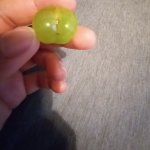 Butt shaped grape meme