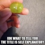 Butt shaped grape | IDK WHAT TO TELL YOU THE TITLE IS SELF EXPLANATORY | image tagged in butt shaped grape | made w/ Imgflip meme maker