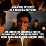 Shark | A MAN WAS ATTACKED BY A SHARK ON CAPE COD. THE AUTHORITIES DETERMINED THAT THE MAN WHO WAS ATTACKED HAD DANDRUFF.  THEY FOUND HIS HEAD AND S | image tagged in memes,inception | made w/ Imgflip meme maker