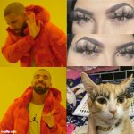 meme extensão cilios | image tagged in cat vs human big lashes | made w/ Imgflip meme maker