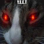 Y.E.E.T | Y.E.E.T | image tagged in yeet | made w/ Imgflip meme maker