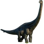 Dreadnoughtus (JWD Design)
