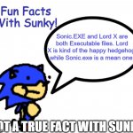Fun Facts With Sunky! | Sonic.EXE and Lord X are both Executable files. Lord X is kind of the happy hedgehog, while Sonic.exe is a mean one. NOT A TRUE FACT WITH SUNKY | image tagged in fun facts with sunky | made w/ Imgflip meme maker
