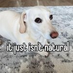 it just isn't natural
