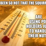 Hot | IT’S BEEN SO HOT THAT THE SQUIRRELS; ARE USING POT HOLDERS JUST TO HANDLE THEIR NUTS. | image tagged in hot outside | made w/ Imgflip meme maker