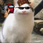 BELUGA | YOUR CAT; TURN ON THE COMPUTER | image tagged in beluga cat sus | made w/ Imgflip meme maker