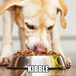 Kibble | KIBBLE | image tagged in dog eating dog food kibble | made w/ Imgflip meme maker
