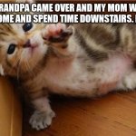 Help I don't want to socialize | MY GRANDPA CAME OVER AND MY MOM WANTS ME TO COME AND SPEND TIME DOWNSTAIRS. HELP ME! | image tagged in help me kitten | made w/ Imgflip meme maker