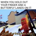 Image tittle | WHEN YOU HOLD OUT YOUR FINGER AND A BUTTERFLY LANDS ON IT: | image tagged in could i be the green ninja,butterfly | made w/ Imgflip meme maker