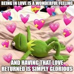 kermit in love | BEING IN LOVE IS A WONDERFUL FEELING; AND HAVING THAT LOVE RETURNED IS SIMPLY GLORIOUS | image tagged in kermit in love | made w/ Imgflip meme maker