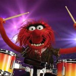 Muppet Monster Drummer