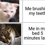 Blank Comic Panel 2x2 Meme | Me brushing my teeth Me in my bed 5 minutes later | image tagged in memes,funny,funny memes,sleep,relatable,cats | made w/ Imgflip meme maker