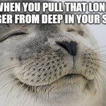 Satisfied Seal | WHEN YOU PULL THAT LONG BOOGER FROM DEEP IN YOUR SKULL | image tagged in memes,satisfied seal | made w/ Imgflip meme maker