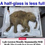 wot | A half-glass is less full; A full glass is full | image tagged in lab-grown woolly mammoths,woolly mammoth,future,in the future,the future world if,the future is now old man | made w/ Imgflip meme maker
