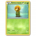 sunflower wassie pokemon card