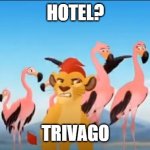 Garbage | HOTEL? TRIVAGO | image tagged in hotel,trivago,commericals | made w/ Imgflip meme maker