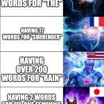 Expanding brain | NOT HAVING A WORD FOR THE DAY AFTER TOMORROW; HAVING 6 WORDS FOR "THE"; HAVING 17 WORDS FOR "SURRENDER"; HAVING OVER 200 WORDS FOR "RAIN"; HAVING 2 WORDS FOR "I", ONE FEMININE AND ONE MASCULINE; NOT HAVING A WORD FOR "YES" | image tagged in expanding brain | made w/ Imgflip meme maker