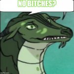 rude dragon | NO BITCHES? | image tagged in talking dragon,wings of fire | made w/ Imgflip meme maker