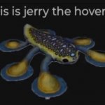 Jerry hoverfish