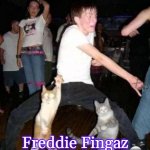 Party hard cat | Freddie Fingaz | image tagged in party hard cat,freddie fingaz,slavic | made w/ Imgflip meme maker