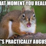 THAT MOMENT YOU REALIZE | THAT MOMENT YOU REALIZE; IT'S PRACTICALLY AUGUST | image tagged in omg squirrel,funny,cute,squirrel,omg | made w/ Imgflip meme maker
