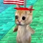 American cat meme