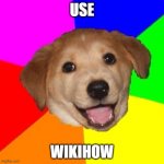 Bad Advice Dog | USE; WIKIHOW | image tagged in bad advice dog | made w/ Imgflip meme maker