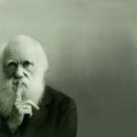 Darwin on sex and music