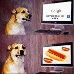 Hot dogs in my area meme