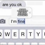 Im fine | THEY ASK YOU HOW YOU ARE AND YOU JUST HAVE TO SAY THAT YOUR FINE AND YOUR NOT REALLY FINE | image tagged in im fine | made w/ Imgflip meme maker