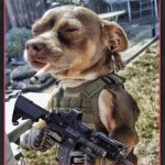 Tactical Dog