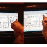 Cat and complicated plans