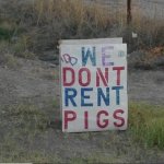 we don't rent pigs