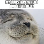 seal belly rub | MY DOGS FACE WHEN I 
RUB THEIR BELLY | image tagged in memes,satisfied seal,dog,work,dog memes | made w/ Imgflip meme maker