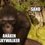 It’s coarse, rough, irritating, and it gets everywhere. | ANAKIN SKYWALKER; SAND | image tagged in dinofelis sneaks on australopithecus | made w/ Imgflip meme maker