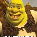 Shrek is good... | NO ONE AND I MEAN NO ONE:; ME LAUGHING AT MEMES AT 3AM PRETENDING THAT I DON'T HAVE ANY PROBLEMS | image tagged in smiling shrek | made w/ Imgflip meme maker