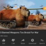 capybara millitary meme