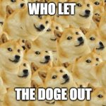 Who let the doge out | WHO LET THE DOGE OUT | image tagged in memes,multi doge | made w/ Imgflip meme maker
