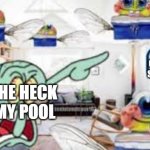 august be like: | WE HAVE COME FOR YOUR SUMMER BREAK! GET THE HECK OUT MY POOL | image tagged in we have come for your necter | made w/ Imgflip meme maker
