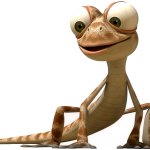 Oscar the Gecko