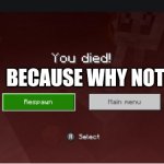 you died minecraft | BECAUSE WHY NOT | image tagged in you died minecraft | made w/ Imgflip meme maker