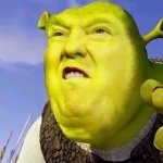 Dt Shrek