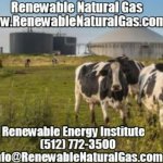 Renewable Natural Gas