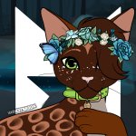 Dawnstar meme