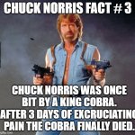 Norris 3 | CHUCK NORRIS FACT # 3 CHUCK NORRIS WAS ONCE BIT BY A KING COBRA.
AFTER 3 DAYS OF EXCRUCIATING PAIN THE COBRA FINALLY DIED. AARDVARK RATNIK | image tagged in chuck norris guns,chuck norris,funny memes,cobra,bruce lee | made w/ Imgflip meme maker