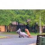 Dinosaur Couple meme